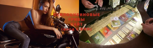 молекула духа Бронницы