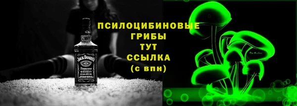 молекула духа Бугульма