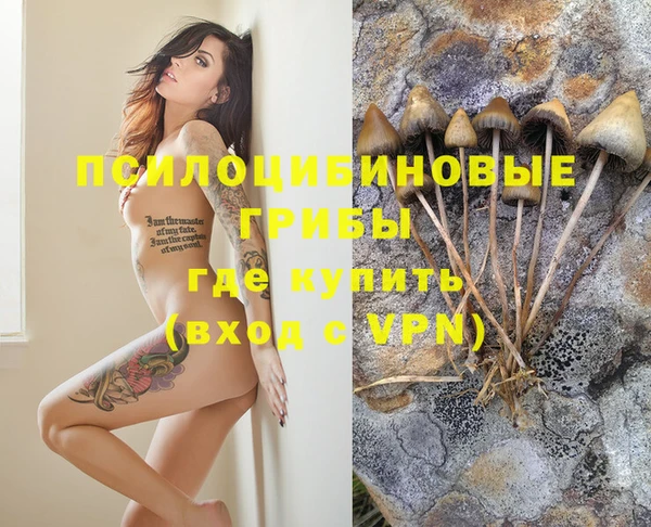 молекула духа Бронницы