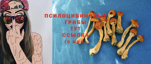 гидропоника Богородск