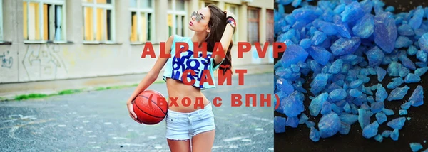 дмт Бородино