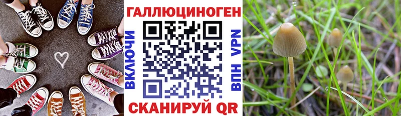 Купить где  Вологда  Галлюциногенные грибы мухоморы 