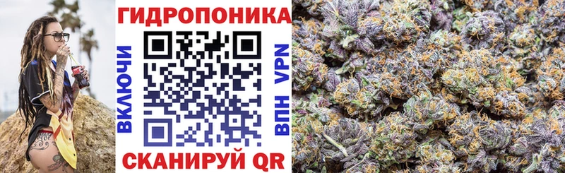 Конопля ГИДРОПОН  Купить  Вологда 